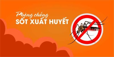 Phòng chống bệnh sốt xuất huyết