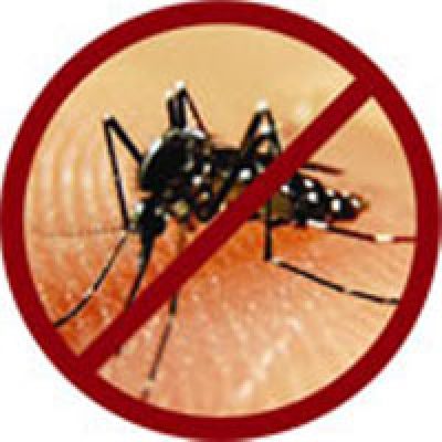 Phòng ngừa Sốt xuất huyết Dengue - Bảo vệ bạn và gia đình bạn